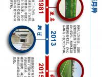爱游戏体育官方-产业分析：女足产业链的完善的简单介绍