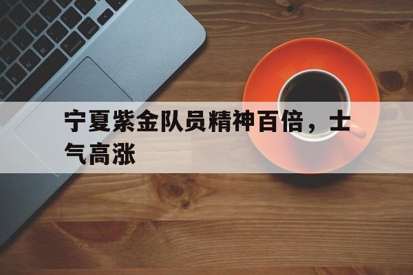 宁夏紫金队员精神百倍，士气高涨的简单介绍
