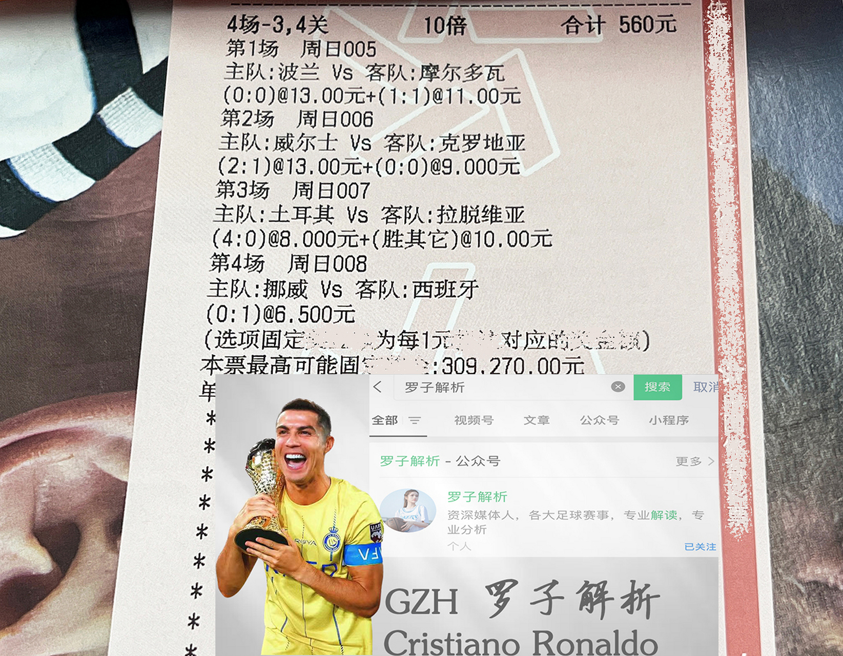 波黑队在欧预赛中奋力拼搏，坚守信念的简单介绍